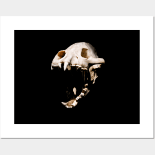 Dinosaur skull Posters and Art